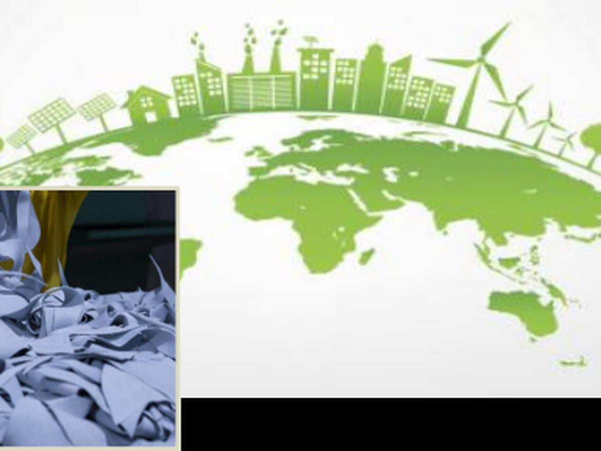 Cuir régénéré écologique
